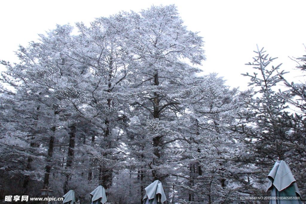 峨眉雪景