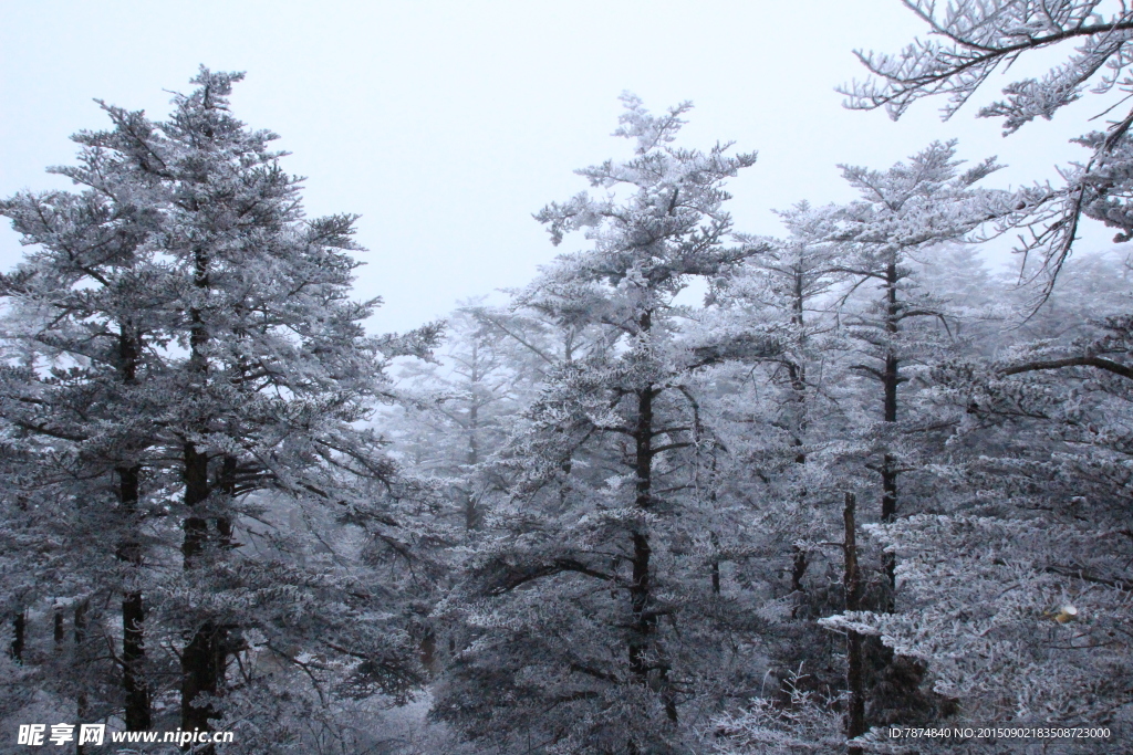 峨眉雪景