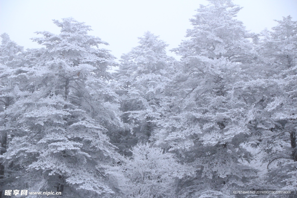 峨眉雪景