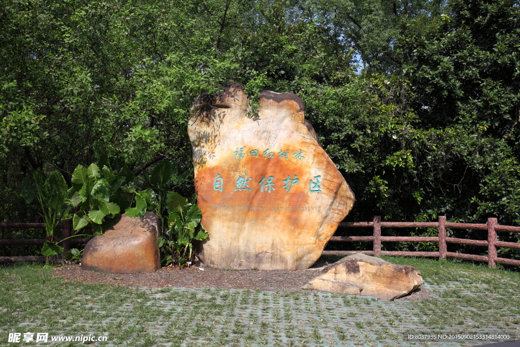 深圳红树林保护区石碑