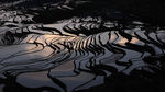 田园素材