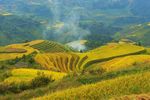 田园风景