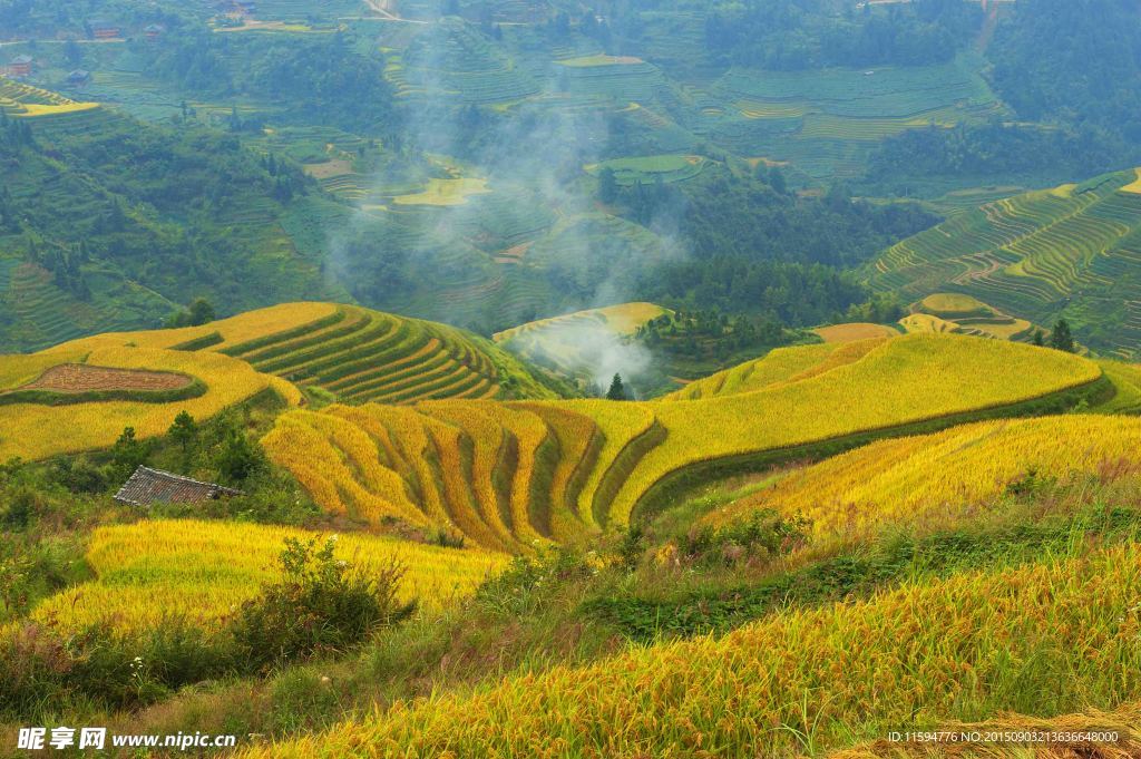 田园风景