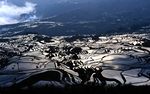 田园景观