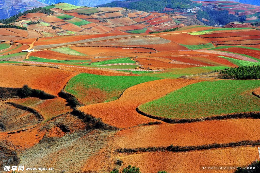 七彩山丘田园风光