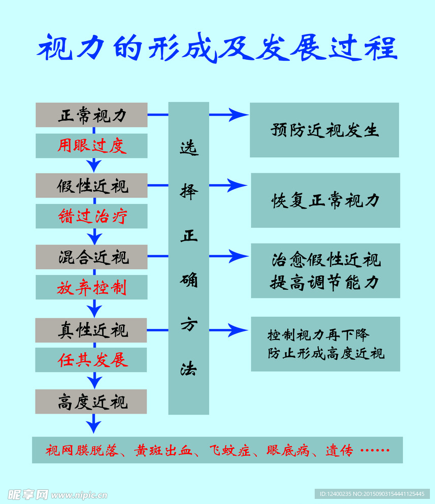 视力的形成与发展