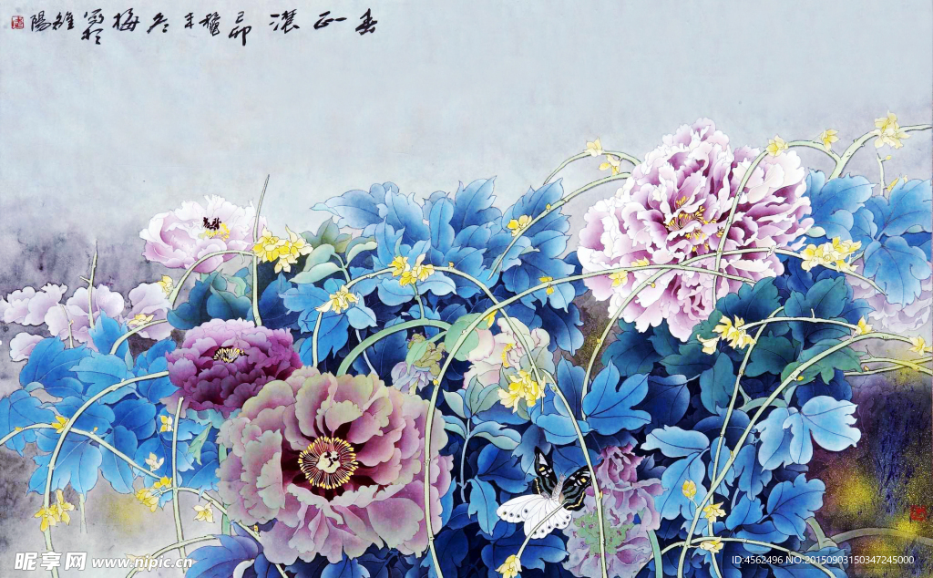 迎春牡丹