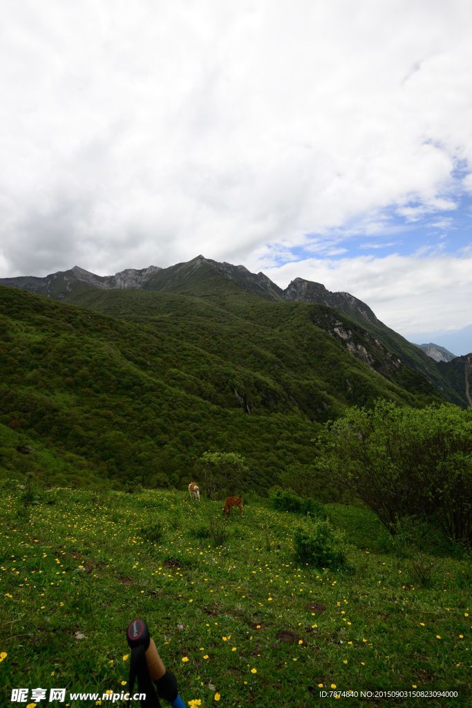 九顶山风光