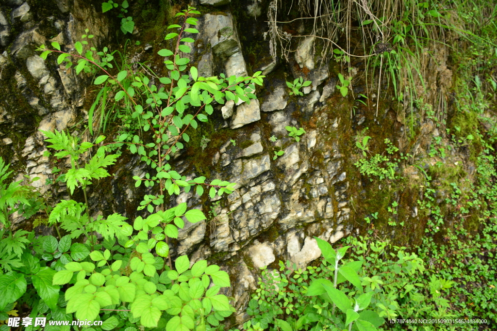 九顶山风光