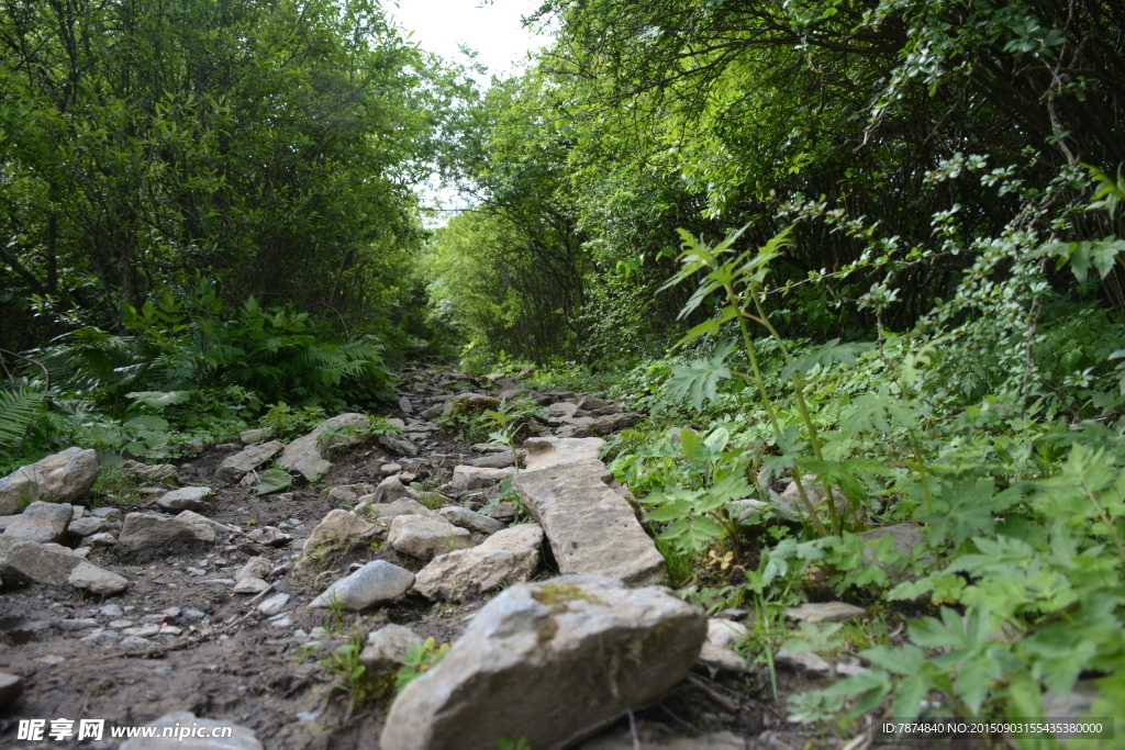 九顶山风光