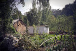 山东农村