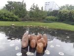 小区环境
