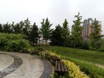 小区绿化