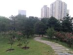小区环境 小