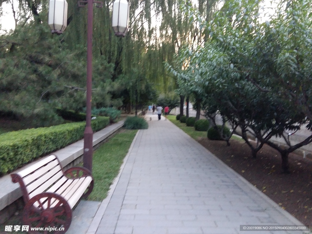 小区路
