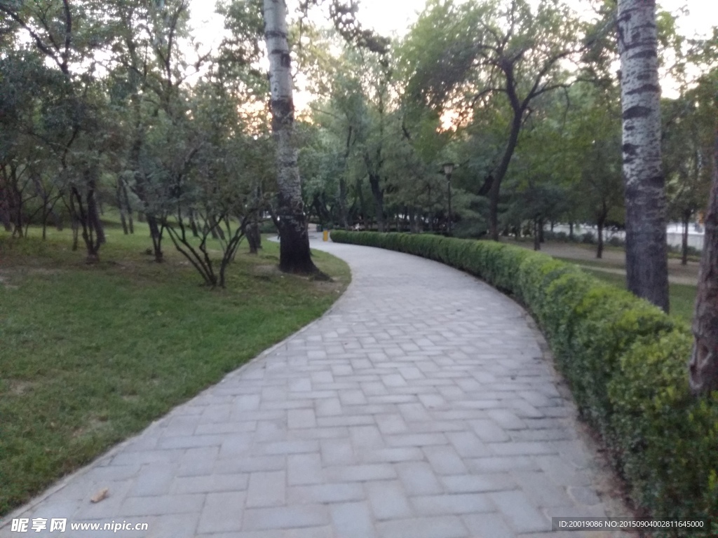 小区路