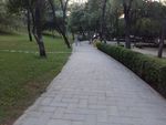 小区景观路