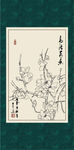 白描玉兰