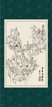 白描玉兰