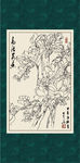 白描玉兰