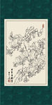 白描玉兰