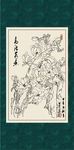 白描玉兰