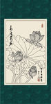 白描荷花