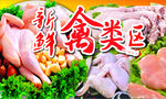 禽类区