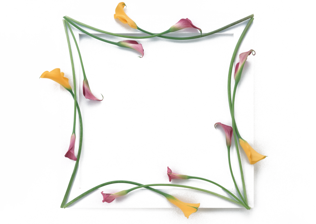 花卉相框