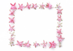 花卉相框