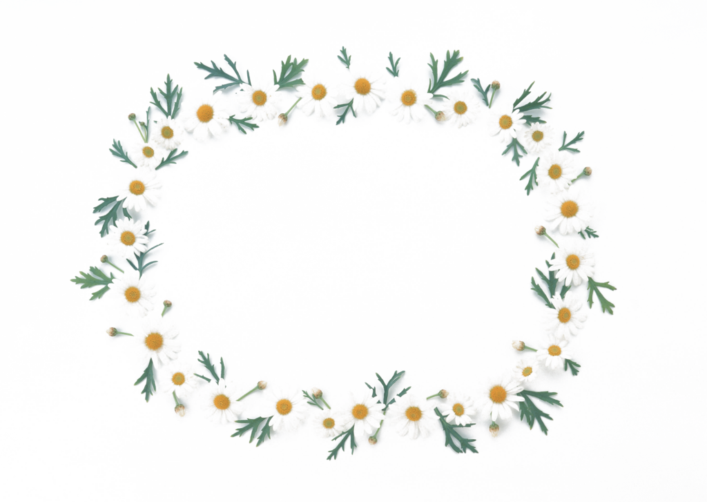 花卉相框