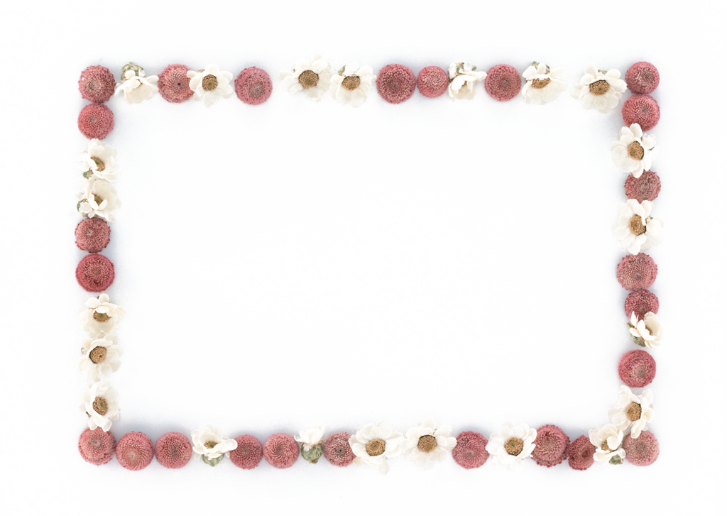 花卉相框