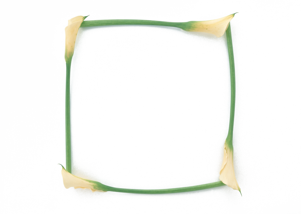 花卉相框