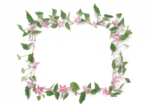 花卉相框