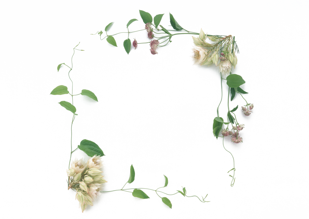 花卉相框