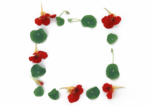 花卉相框