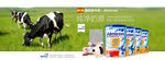 西班牙 牛栏奶粉  海报 淘宝