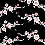 花卉