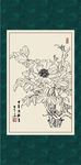白描牡丹