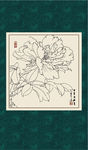 白描牡丹