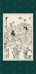 白描牡丹