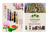 古玩市场 单页