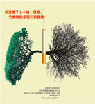 吸烟有害健康