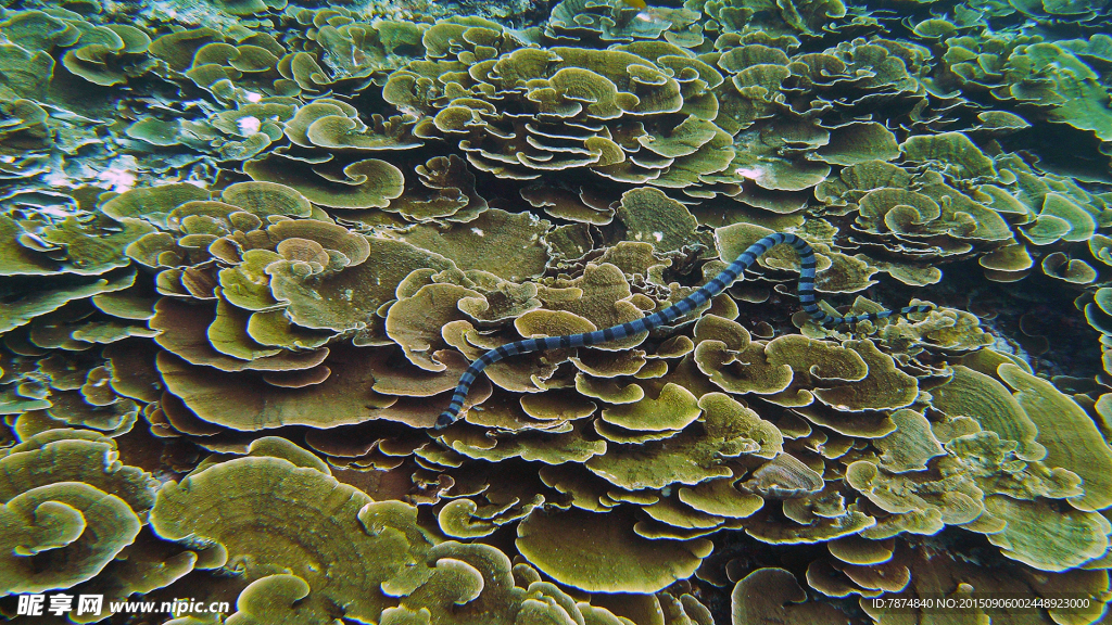 海底世界