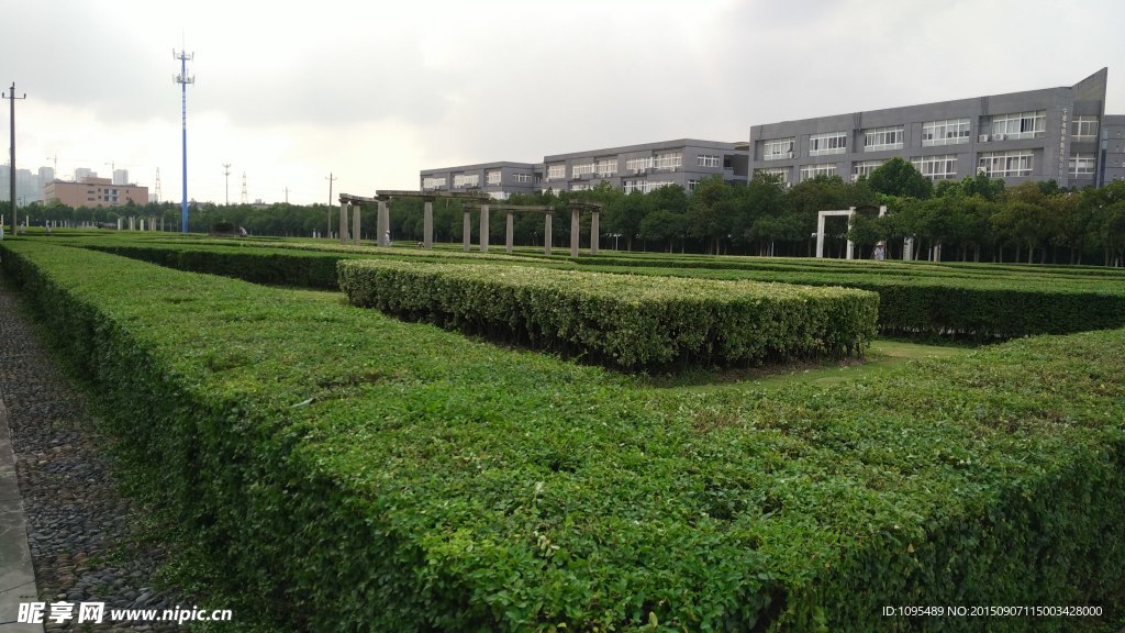 绿化家园