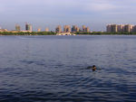 湖畔风景