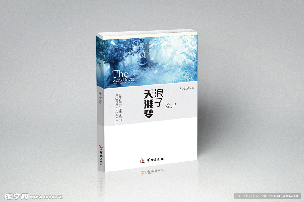 浪子小说封面