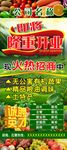 绿色舒适的展架
