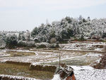 美丽雪景 农村雪景