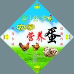 笨鸡蛋包装